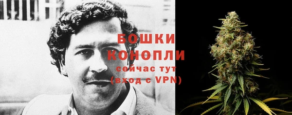 твердый Надым