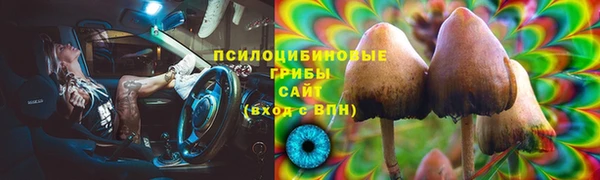 прущие крисы Михайлов