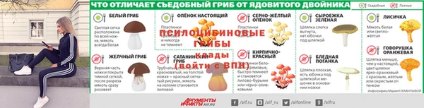 сатива Михайловка
