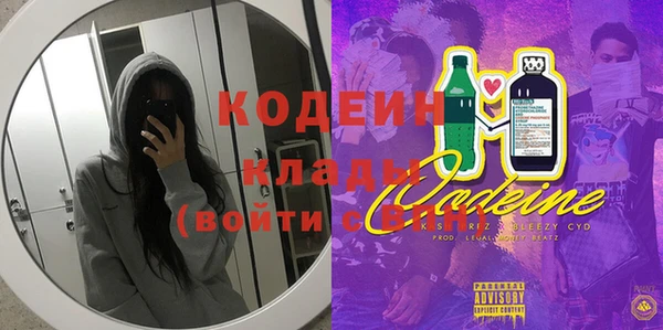 твердый Надым