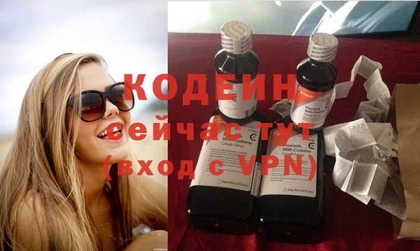 дмт Инсар