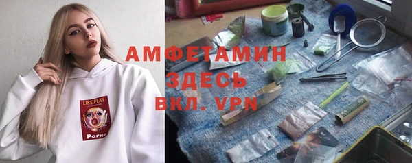 сатива Михайловка