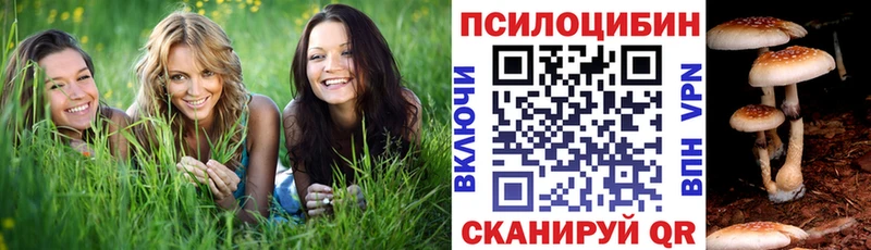 Галлюциногенные грибы MAGIC MUSHROOMS  наркота  Щёлкино 